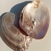 ��Ȼ��ؐ���Ӱ�ؐ��diy�������Ʒ�[������������ؐ�[����ˇƷ