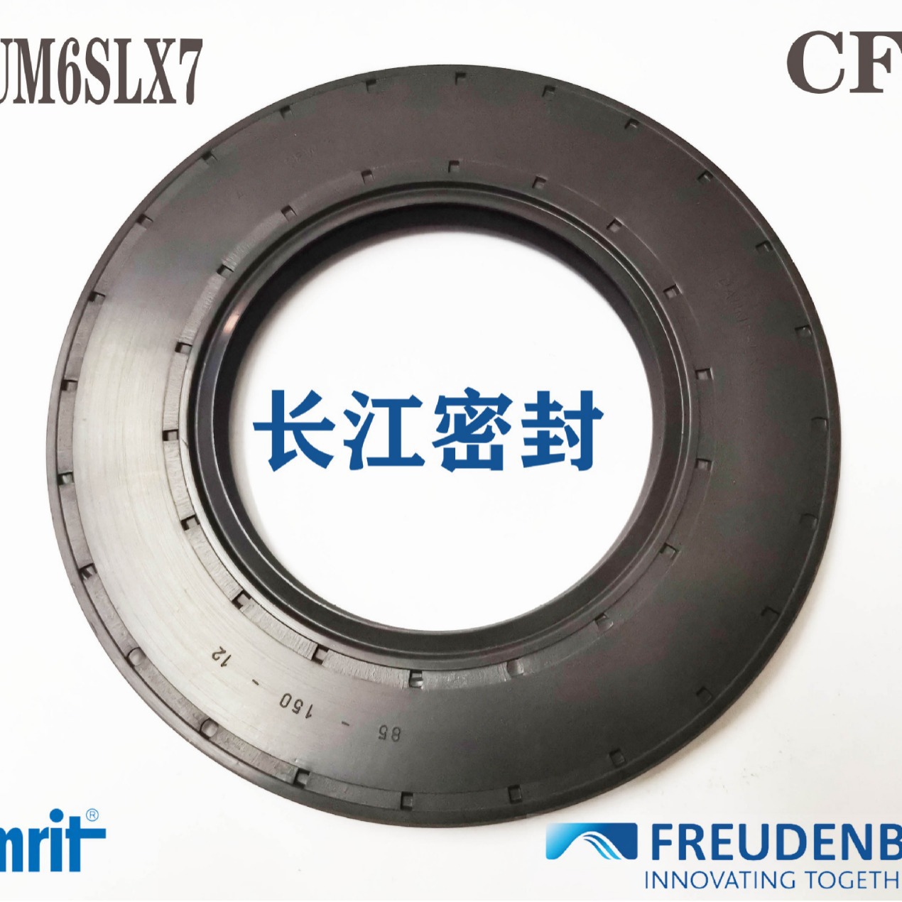 供应德国CFW BAUM6SLX7 100-130-12 进口SIMRIT FPM骨架油封