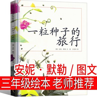 һ���N�ӵ������L�����꼉���꼉�n����Ϻ�������һ�w�N�ӵ�����