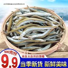 小海鱼海燕海鲜干货小青鱼500g自制干干风干银鱼干鱼特产青鱼鱼