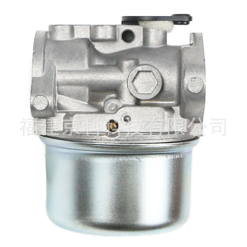 799868 Is Suitable for Briggs&Stratton 497586 498254 498170 497314 Carburetor