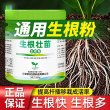 �����۶��`������Ǥ��ֲ��ͨ�û����߲˹���ľ���Ԍ��ùٷ���Ş��