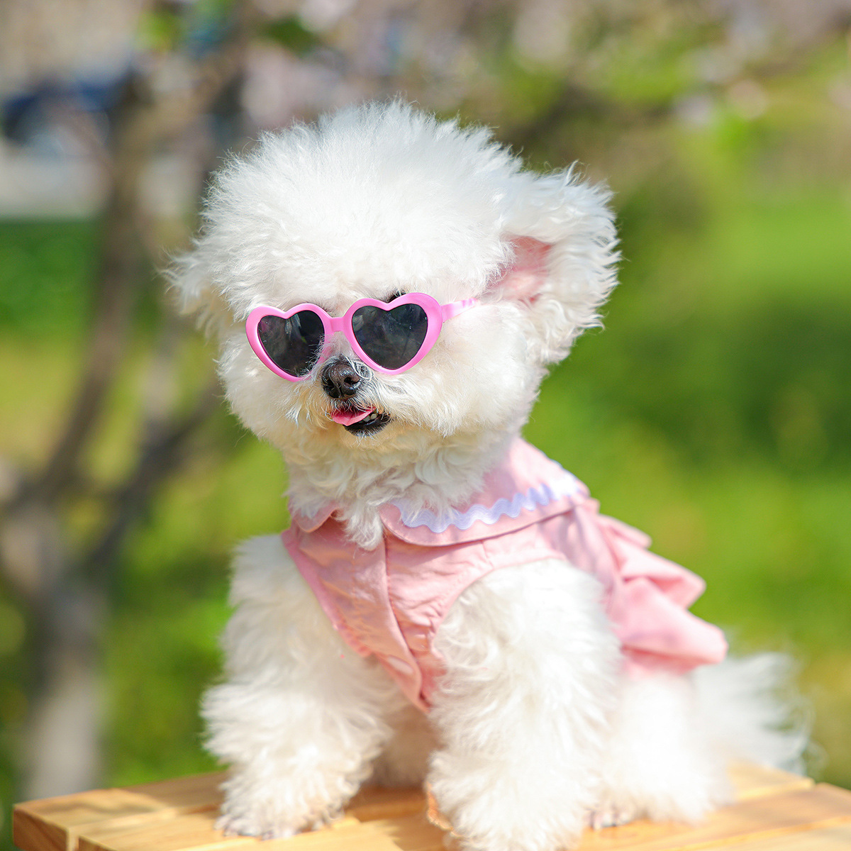 Gfas de sol para mascotas en verano, accesorios para perros pequeños, gafas de sol para mascotas lindas y guapos