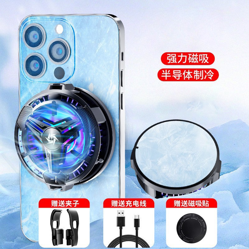 10 반도체 자기 라디에이터 - 검정색