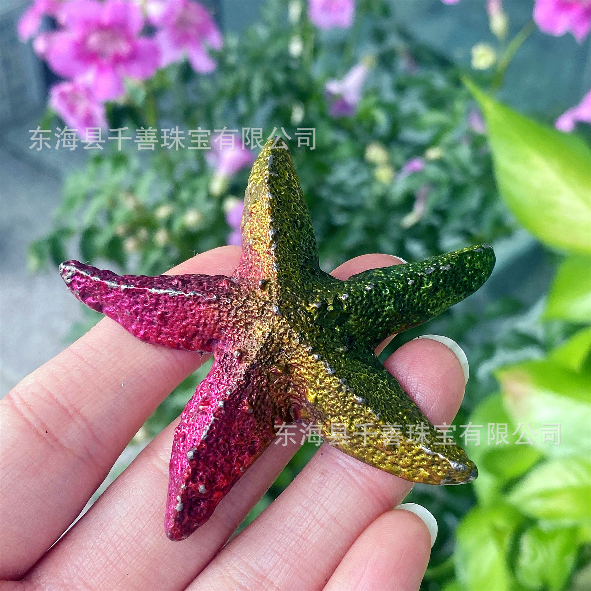 큰 불가사리【7cm】