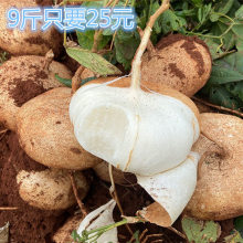 �V���r�����כ������r�߲˰׵ع�ˮ��ɳ���������������}��ɽ��