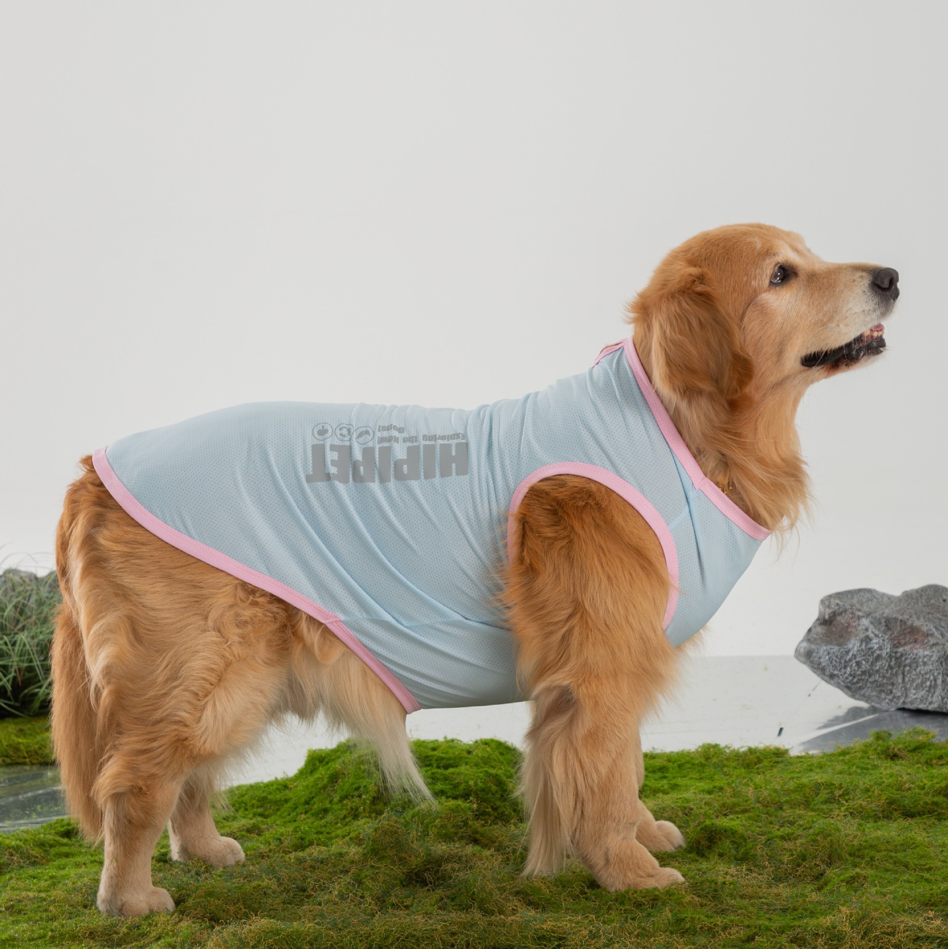 Minimal básico gran perro dorado Labrador gran perro de verano delgado chaleco transpirable ropa de perro perro mascota image 3