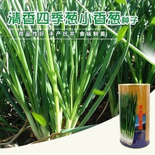 �����ļ��[С�[���[�N�Ӵ���߮a�ļ����N�����֙�С���[ȫ�����[