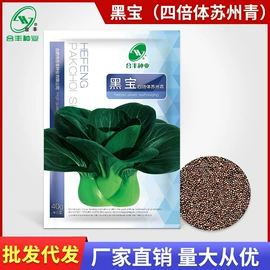 蔬菜种子;粮食作物种子;营养液