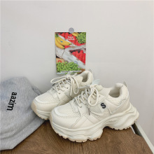 nϵЬ2024ļ¿LСЬWe\ŮЬ