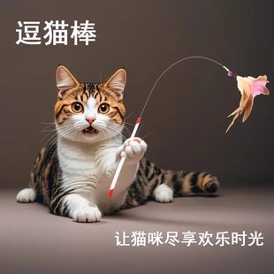 Factory direct long rod steel wire cat stick feather bell cat stick replacement head interactive self-hi bite resistant cat toy