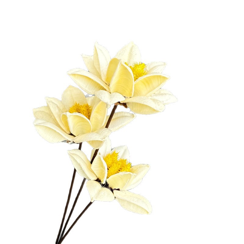 Bainia lotus flor de oro púrpura flor de magnolia bola de caballo flor de seda nueva decoración de estilo chino para el hogar arte de arranque floral props de disparo
