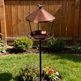 �羳����ͥԺ�����B���Ғ���B����ιʳ���@�b��Fˇ��ȸ���^�l