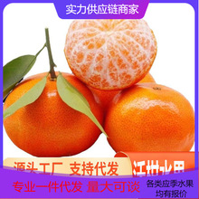 【活动款】正宗云南沃柑新鲜水果现摘整箱对接电商直播源头直发