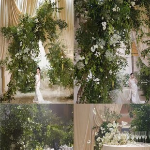 �������Gֲɭϵ��Y�廨�쾰�Ƶ�Ӽ�ܛ�b��픻�������·���~��