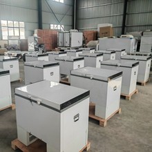 蔬菜水果牛奶雪糕海鲜保鲜车载冰箱两轮电动冷藏车运输车配送车