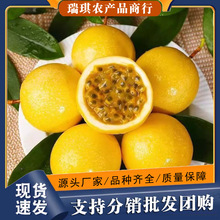 �S���������rˮ���Sɫ�SƤ�u�������ϚJ��9̖�S�𵰺���ֱ���o