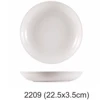 2209 Yuci (9")