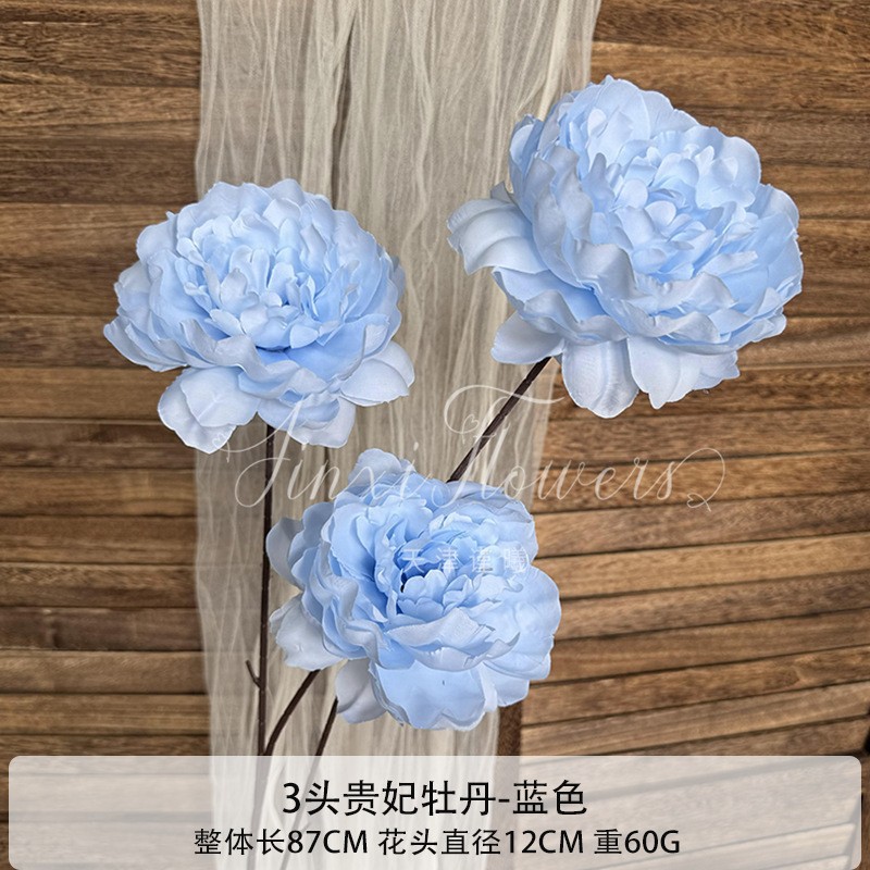 3등 황실 후궁 모란