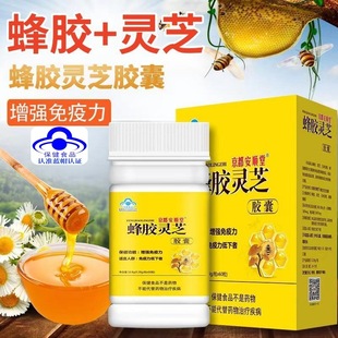 ���z�`֥�z�� ���z ������������ �{ñ����ʳƷ ��������ֱ��