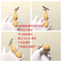 RP4T批发天然葫芦文玩蚂蚁肚手把特小件盘玩手捻随身挂件解压摆件