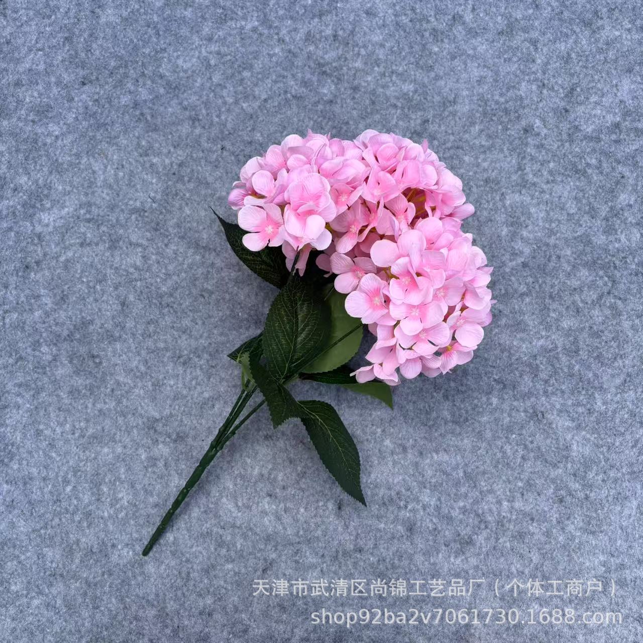 고기 가루