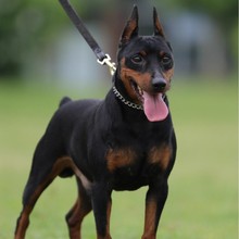 ���l��ϵ�_���{��Ȯ���w�����_���{�o�lȮ����Ȯ��Ȯ����Ȯ���ﹷ