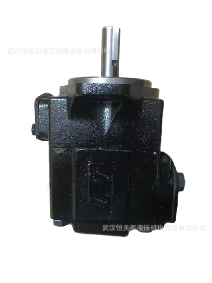 法国DENISON丹尼逊叶片油泵T7EDS-042-B12-1R00-A1M0