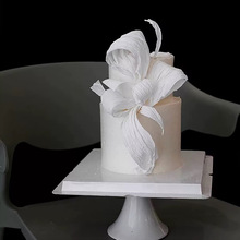 ins�L�O���߼���������С��Ů����ͬ��W�t�決�ֹ����⵰���b�