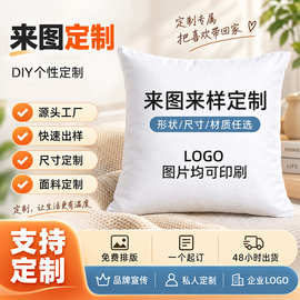 动漫卡通抱枕套多面料可选可拆洗自定义图片枕套企业LOGO靠垫套