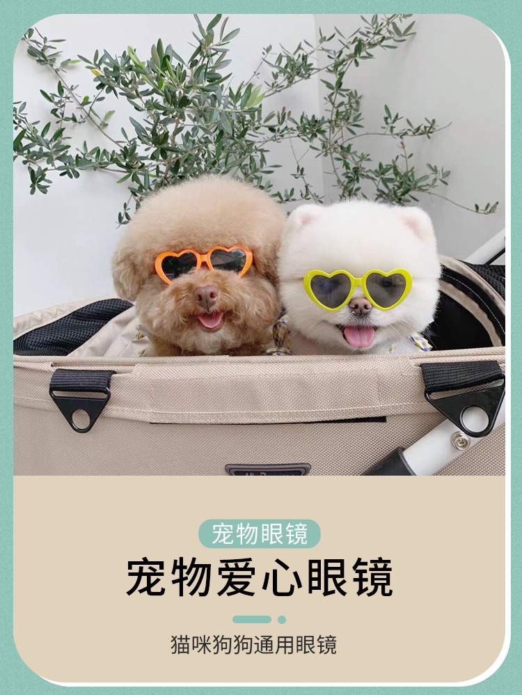 宠物塑料眼镜1_01.png