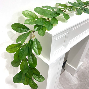 �������m�~�ٗl�Ҿ��bٻ�����Gɫֲ���~��ľ�m֦�҃�����