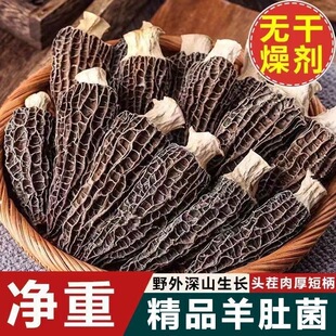 ����^�����x������Ǿ�����؛�����r��Ұ���Ҝ��ЋD��ͯ