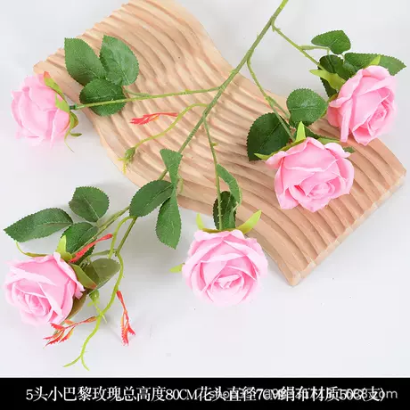 5 little paris rose pink