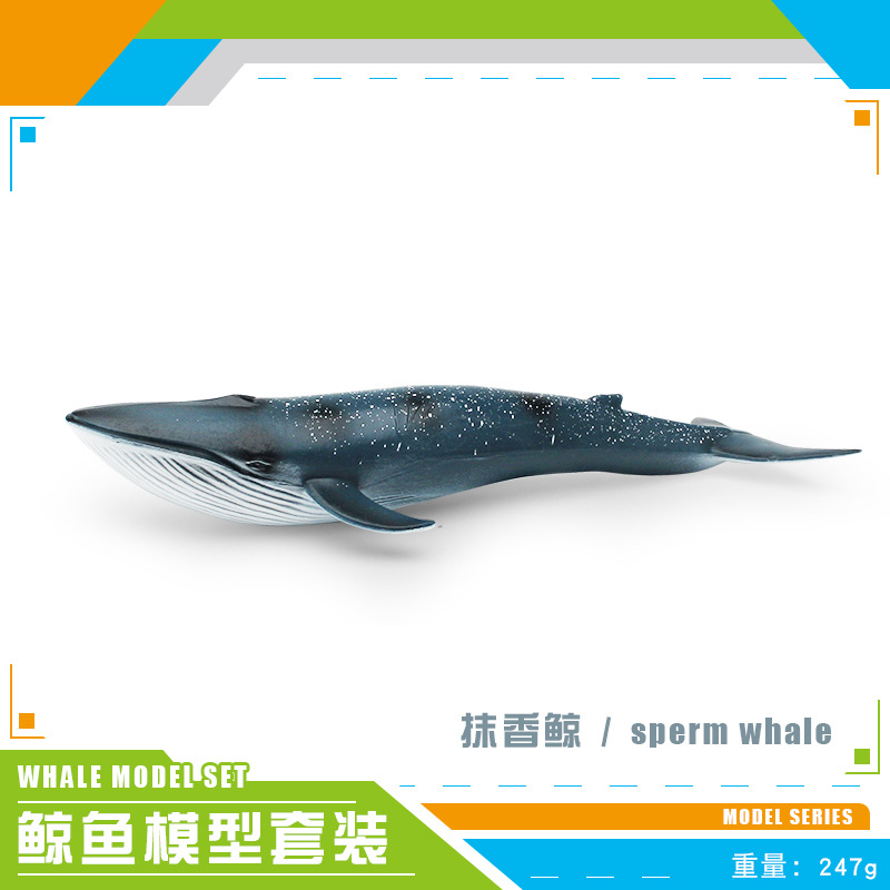 Simulación transfronteriza animal marino modelo de ballena Cognición de los niños criatura submarina cachalote Ballena Azul adornos estáticos