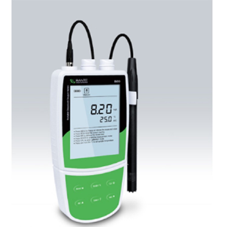 供应便携式溶解氧仪 型号:SF00-BT820库号：M402725
