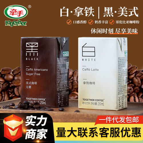 [Exclusive] Hand-in-Hand Coconut Latte Ready-to-Drink Coffee, 250mL x 24 Boxes — Wholesale Beverage Case