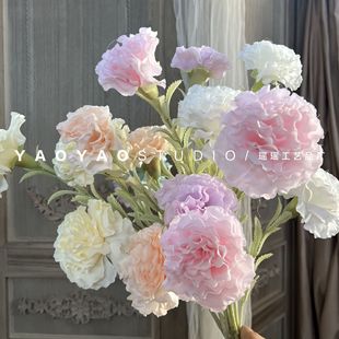 �¿�3�^ܽ�� ֲ�q����ܰ�Ҿ��b�c�����[����ꐲ����������ز�
