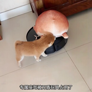 �ҵĵ���!������ߵ��ܹ���ż������ë�q��ż��Ȯ���˰��ṫ��