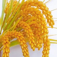 金色稻穗手工材料包手工制作米粒珠麦穗手工编织花束稻谷