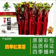 țNϼțR＾ﶬѲ˷NļϷ