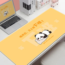 �����ӳ���ɰ���è��Ů���칫���Լ��̵����������������