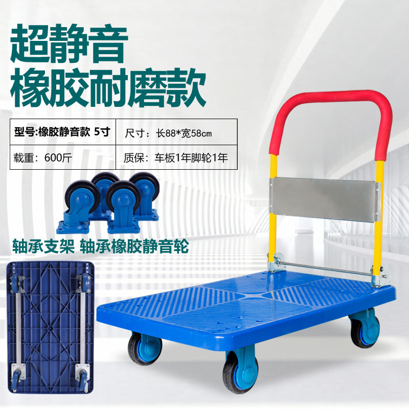 플래그십 대형 모델의 적재 용량 300kg