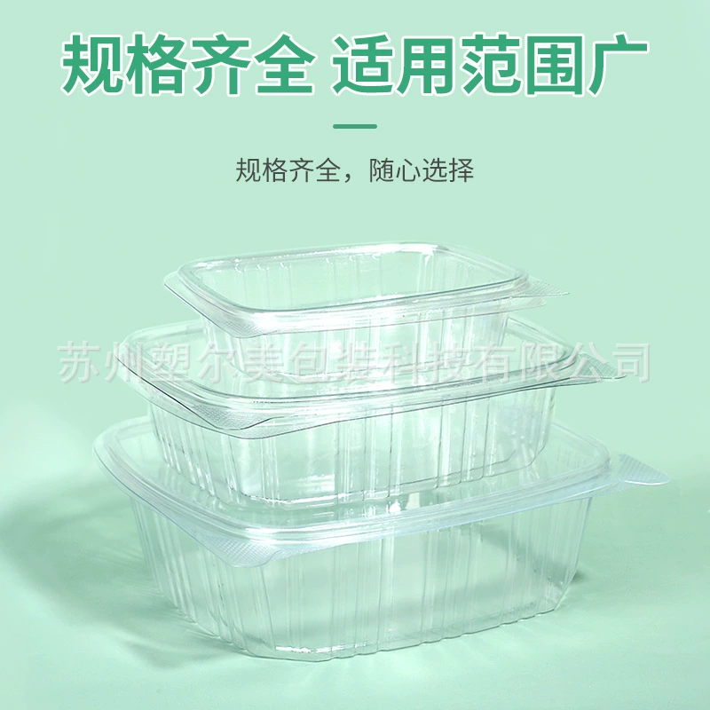 Foreign trade special disposable salad box PET plastic one-piece square packing box fruit box cold lunch box vegetable box