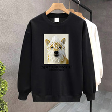 ��ɫ�A�I�l�����ﶬ�¿��n�����b�L��T��W���r���l�²��ӽq���