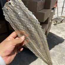 ���l���������~Ƭ ����Ƭ�n؛ �������� ΢���ζ�~Ƭ 500g