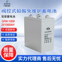 ˫GFM-1000 ʽܷǦ2V1000AH ͨŻվר