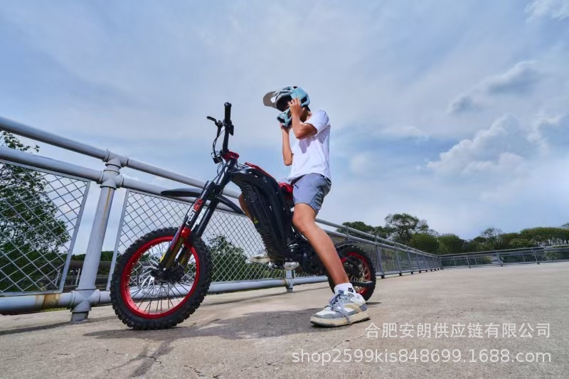79Bike Titaone-S New Electric Off-Road Motorcycle Black Bee Rattlesnake 48V25Ah Track Vehicle