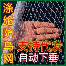 果树防鸟网果园樱桃葡萄草莓嘉宝果枇杷鱼塘大棚养殖农用防鸟网