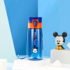 Disney, summer hermetic handheld sports bottle with glass, “Frozen”